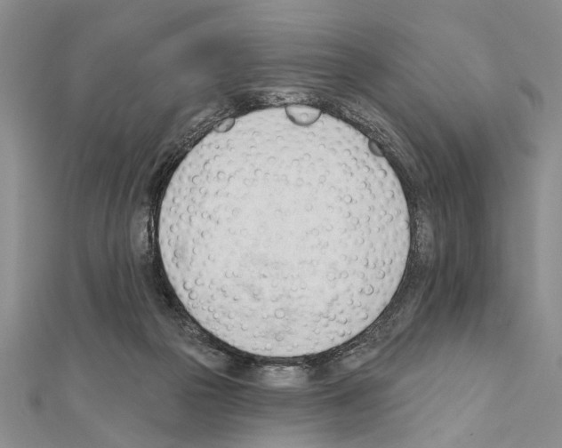 X0000111610169200908281058
