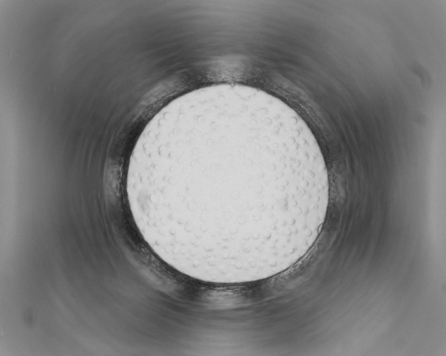 X0000111610171200908281058