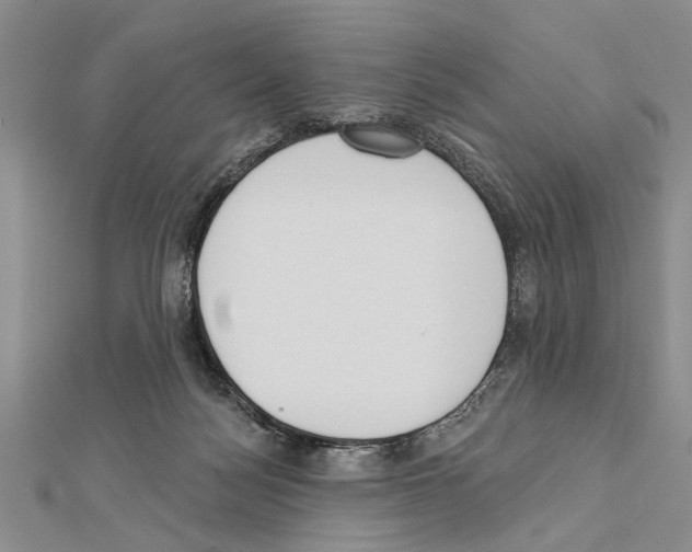 X0000111610172200908281058