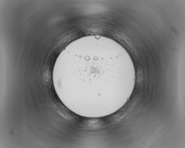 X0000111610173200908281058