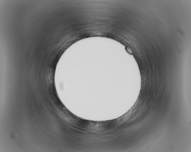 X0000111610174200908281058