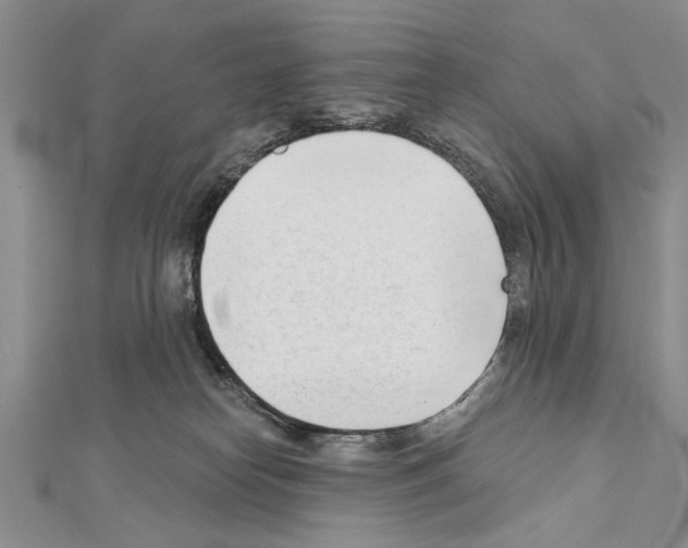 X0000111610182200908281059