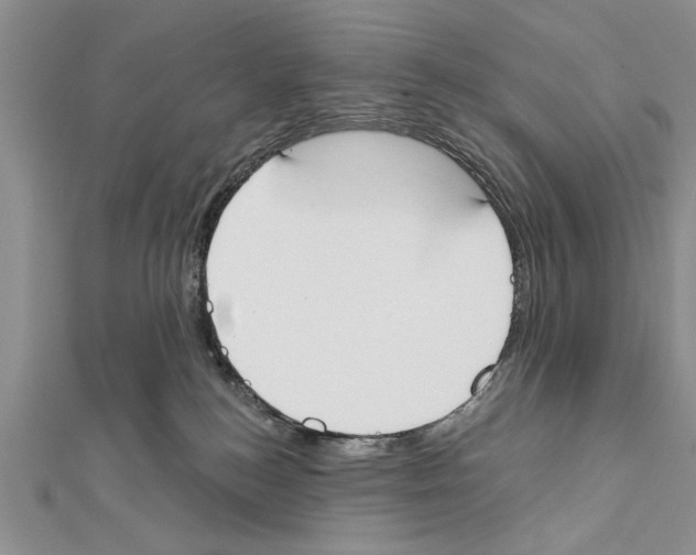 X0000111610184200908281059