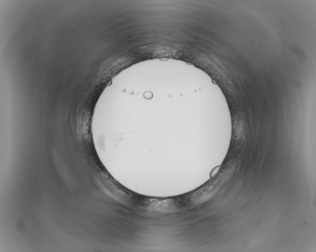 X0000111610185200908281059