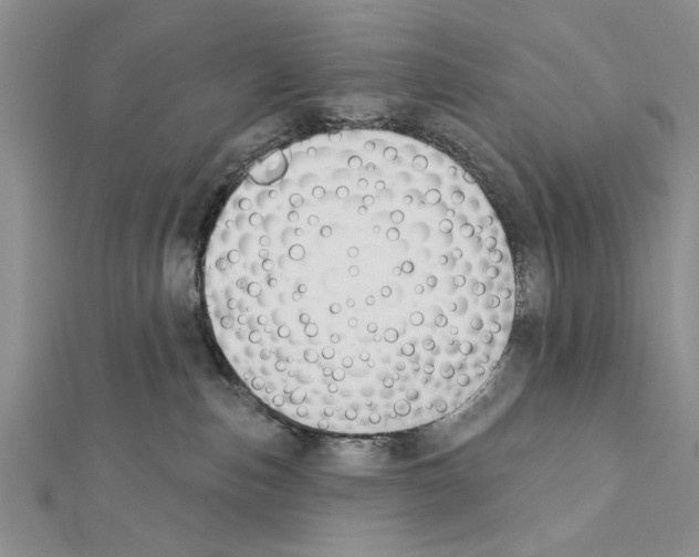 X0000111610187200908281059