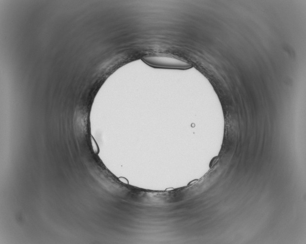 X0000111610188200908281059