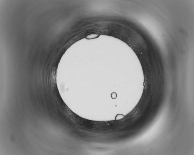 X0000111610190200908281059