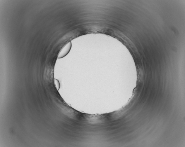 X0000111610191200908281059