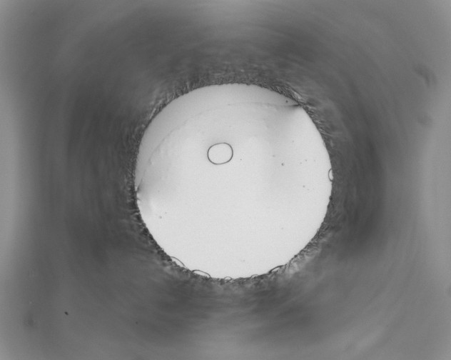 X0000111610192200908281059