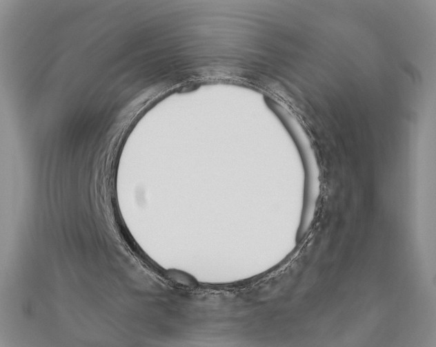 X0000111610193200908281058