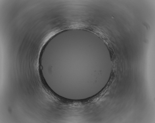 X0000111610196200908281058