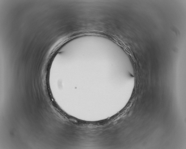 X0000111610197200908281058