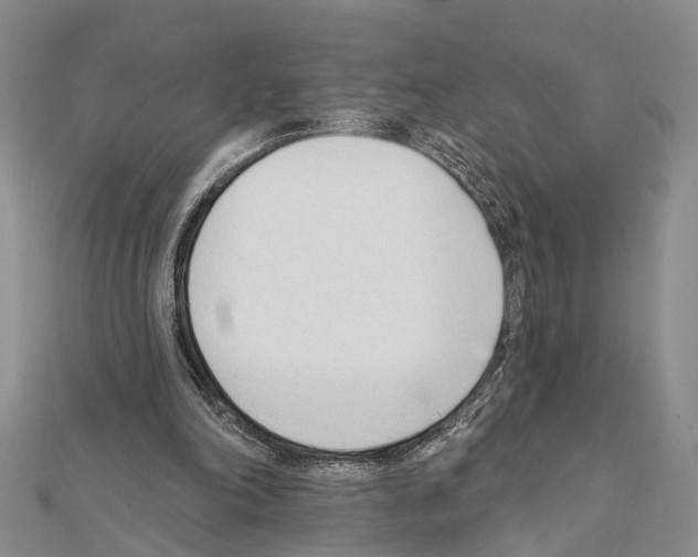 X0000111610198200908281058