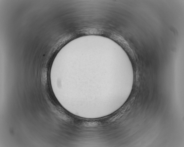 X0000111610202200908281058