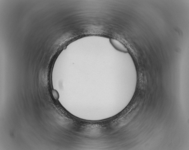 X0000111610203200908281058