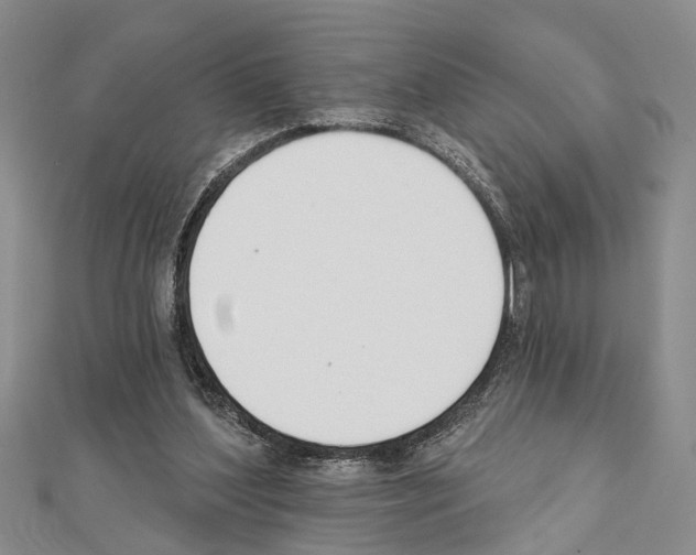 X0000111610204200908281058