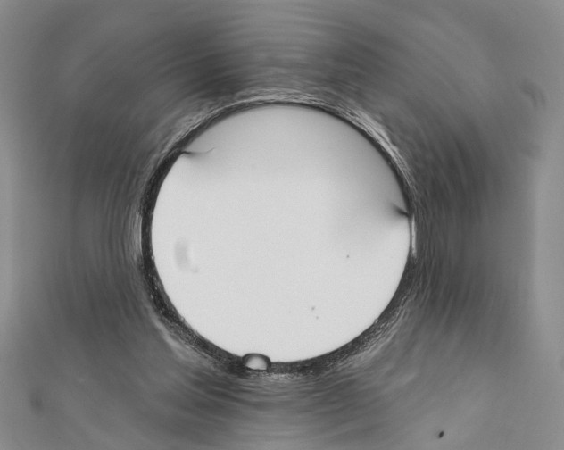 X0000111610205200908281058