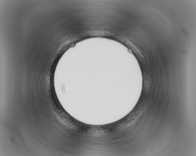 X0000111610207200908281058