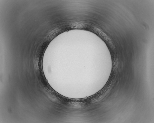 X0000111610209200908281058