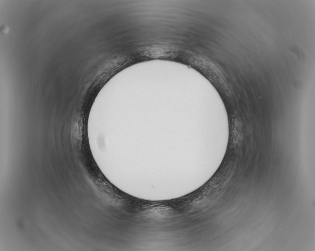 X0000111610210200908281058