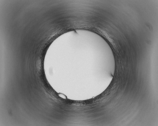 X0000111610211200908281058