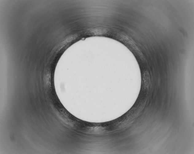 X0000111610212200908281058