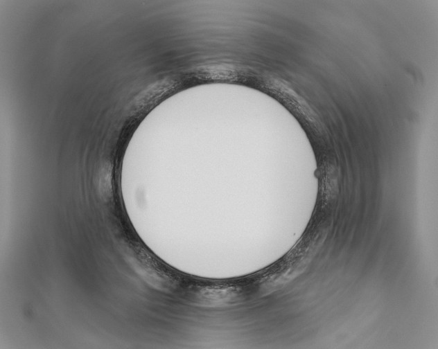 X0000111610213200908281058