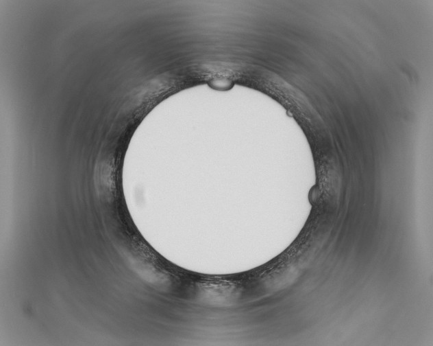 X0000111610215200908281058