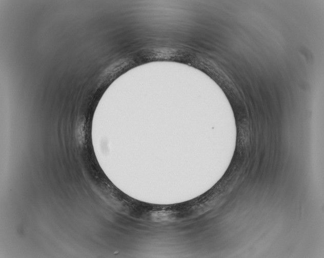X0000111610216200908281058