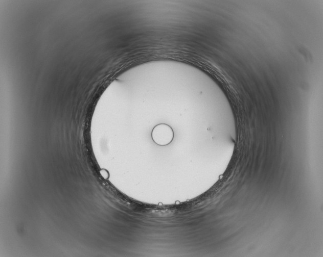 X0000111610217200908281058
