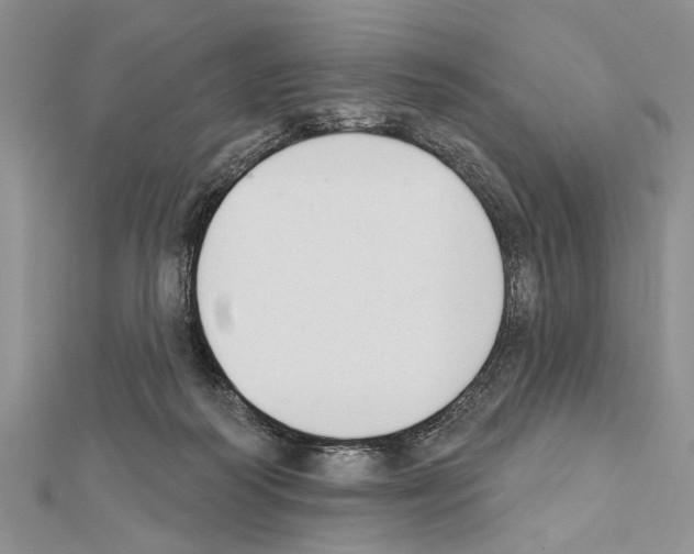 X0000111610218200908281058
