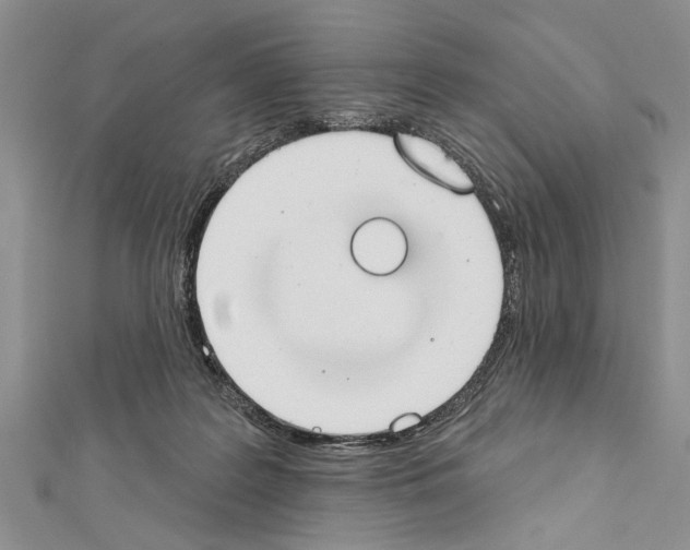 X0000111610219200908281058