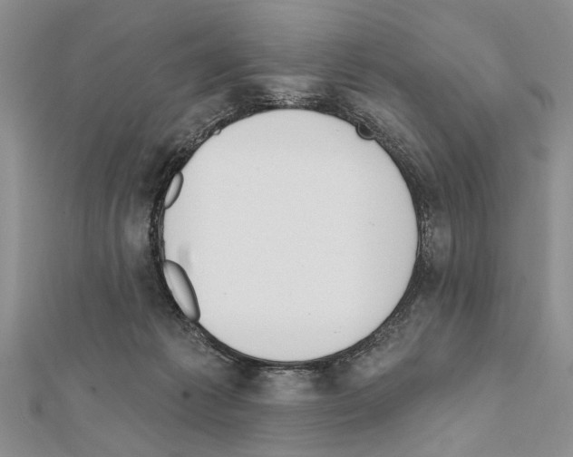 X0000111610221200908281058