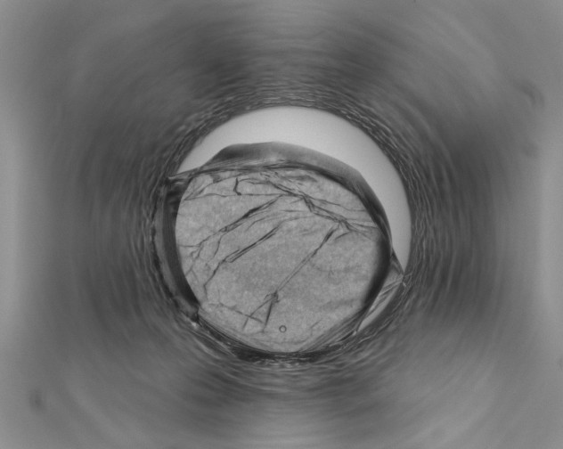 X0000111610223200908281058