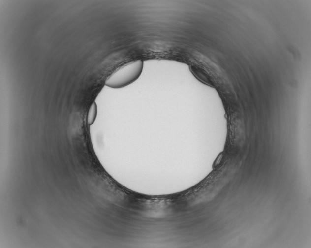 X0000111610225200908281058