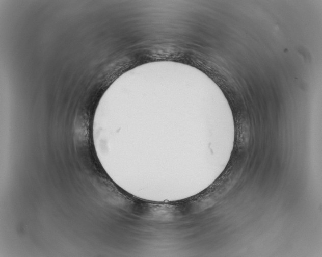 X0000111610226200908281058