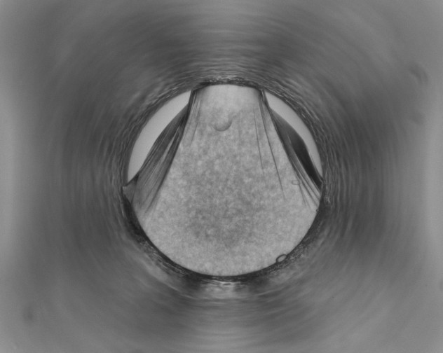 X0000111610227200908281058