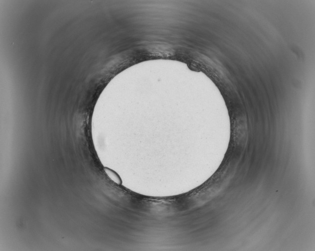 X0000111610229200908281058