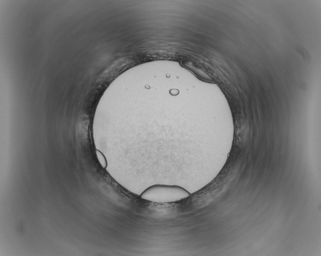 X0000111610231200908281058