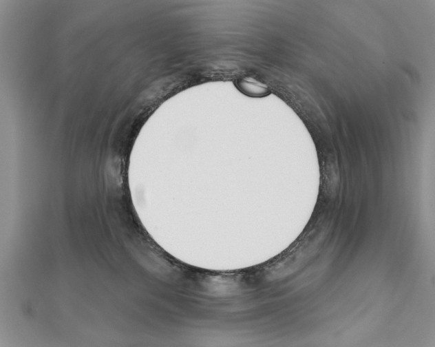 X0000111610232200908281058