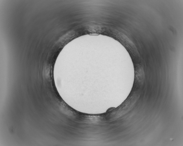 X0000111610233200908281058