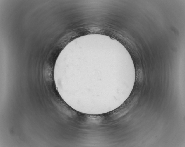 X0000111610234200908281057