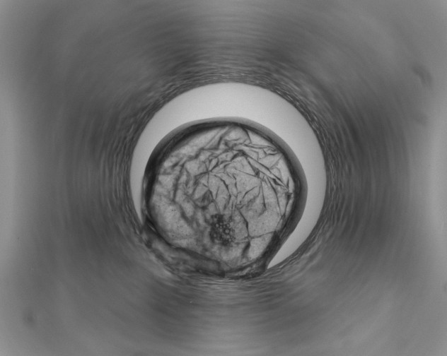 X0000111610235200908281057
