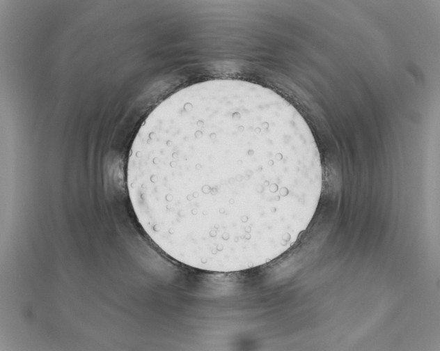 X0000111610238200908281057