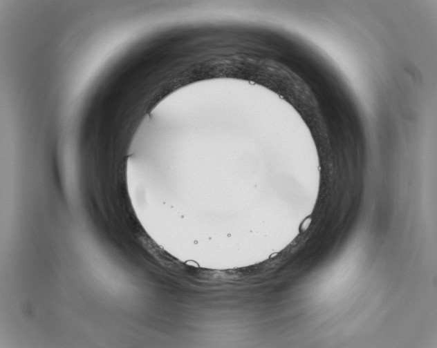 X0000111610239200908281057