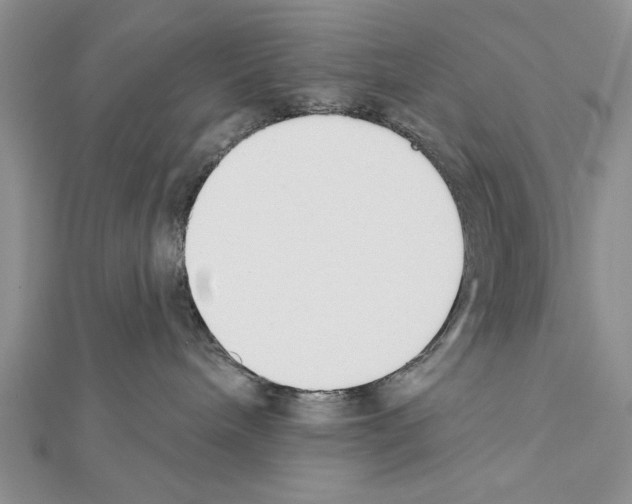 X0000111610240200908281057