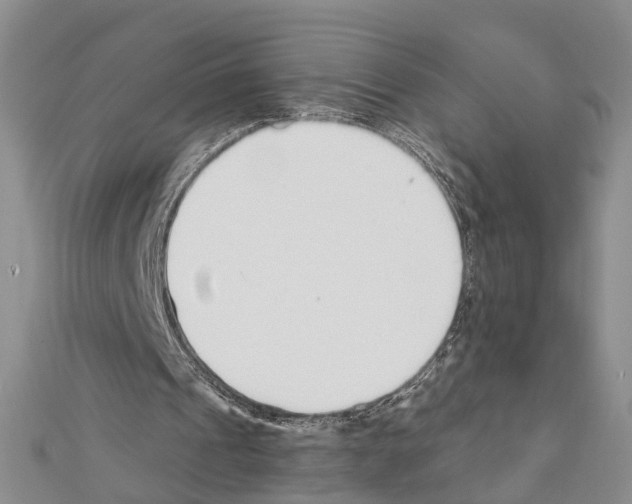 X0000111610241200908281057