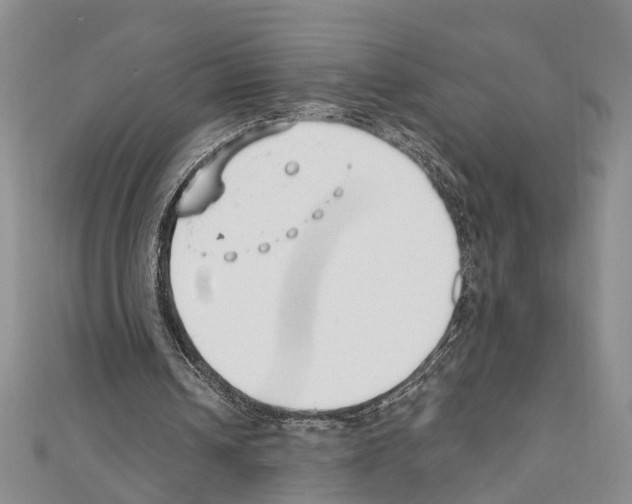 X0000111610242200908281057