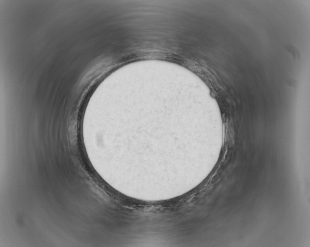 X0000111610243200908281057