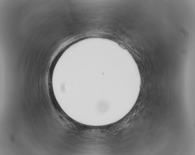 X0000111610244200908281057